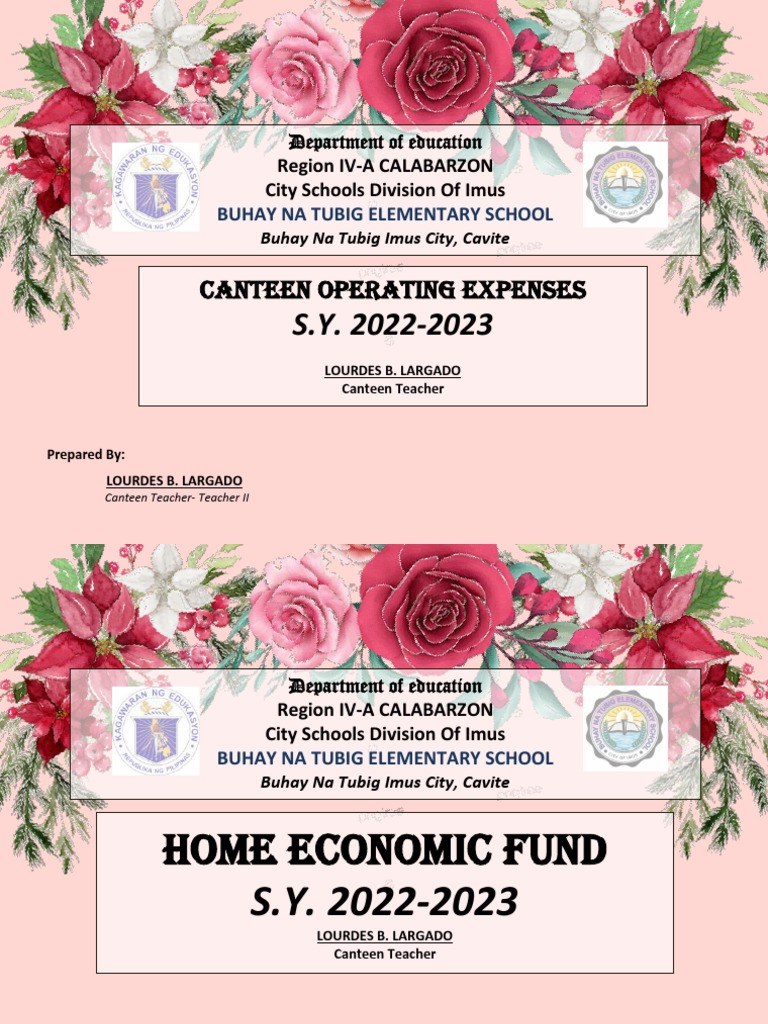 Canteen Operating Expenses Department of Education PDF Public