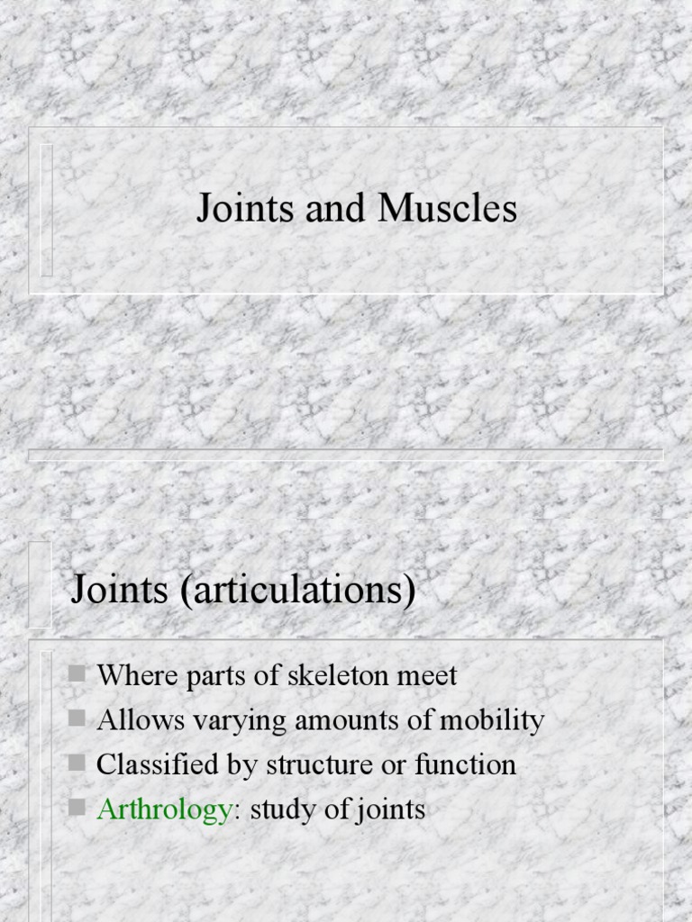 2 Joints and Muscles Grays PDF Anatomical Terms Of Motion Joint