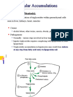 Intracellular Accumulations