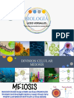 Clase 3 P1 Biologia Division Celular Meiosis