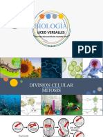 Clase 2 P1 Biologia Division Celular Mitosis