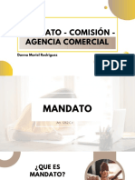 Mandato - Comisión - Agencia Comercial: Danna Mariel Rodriguez