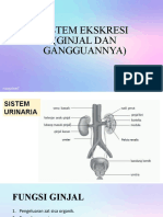 SISTEM EKSRESI (Ginjal Dan Gangguannya)