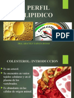 Perfil Lipidico