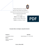 Conceptos Basicos de Higiene y Seguridad Industrial