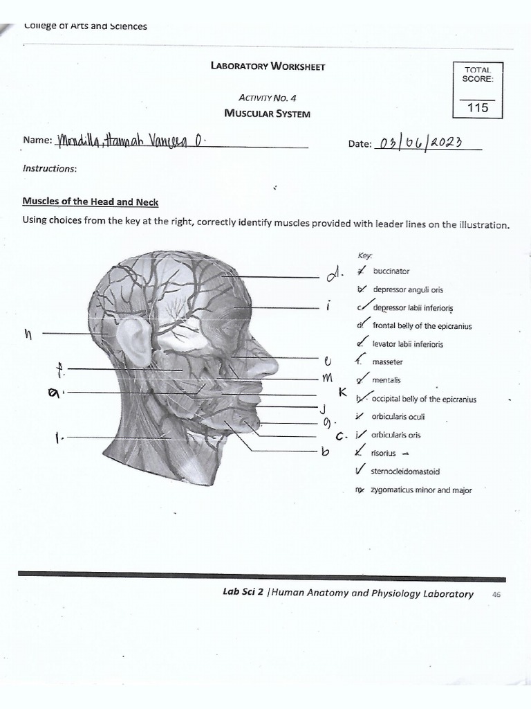 Mondilla Lab Exercises 4 Pdf