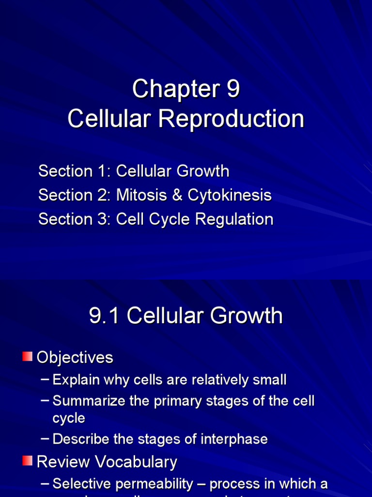 Cellular Reproduction | PDF | Mitosis | Cell (Biology)