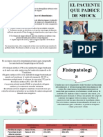 El Paciente Que Padece de Shock: Generalidades de La Homeostasis Celular y de La Hemodinámica