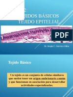 Clase 2: Tejidos Básicos Tejido Epitelial: Dr. Sergio C. Guevara Güisa