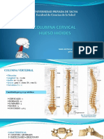 Universidad Privada de Tacna Facultad de Ciencias de La Salud