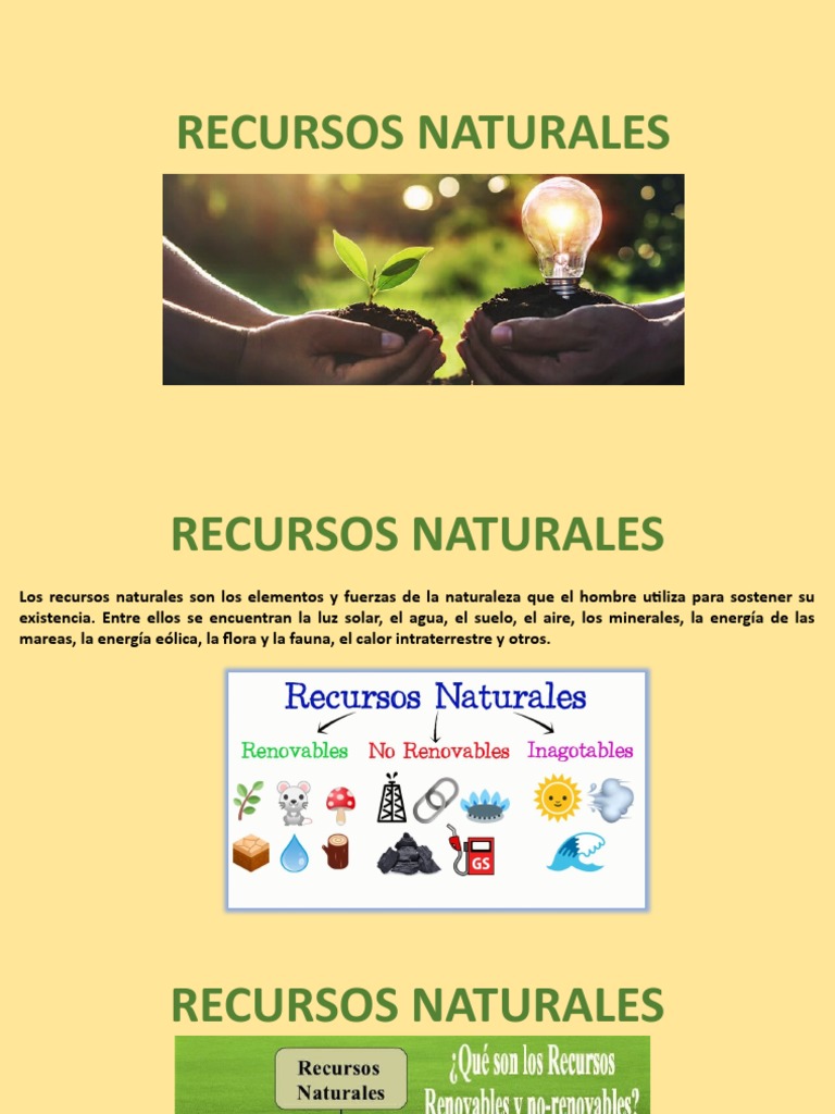 Importancia de los Recursos Naturales | PDF | Ciencia y matemáticas