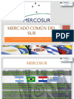 Mercado Común Del SUR: Funcionamiento Y Estructura