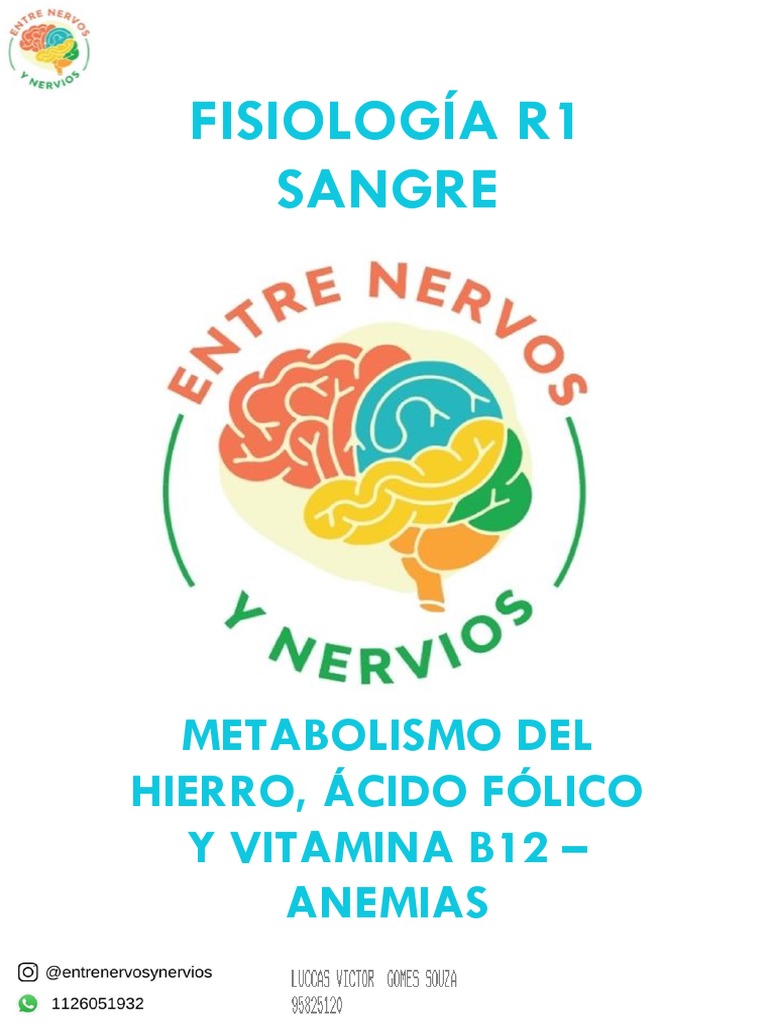 Fisiología R1 Sangre Metabolismo Del Hierro, Ácido Fólico Y Vitamina