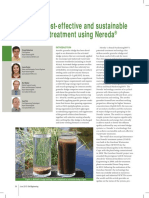 Achieving Cost-Effective and Sustainable Wastewater Treatment Using Nereda