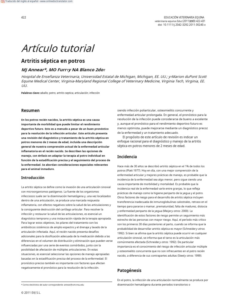Septic Arthritis in Foals En.es PDF Inflamación Articulación