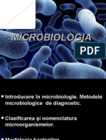 Morfologia1 Bact - 17315-76128