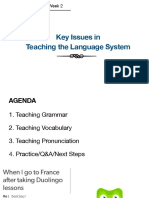 Teaching Practice 1 - Week 2: Key Issues in Teaching The Language System