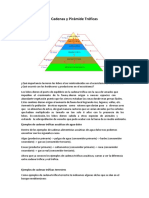 Cadenas y Pirámide Tróficas