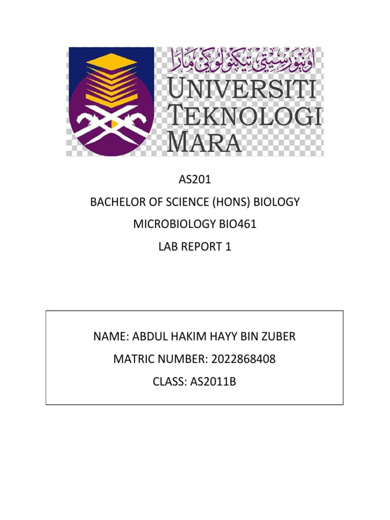 Microbiology Lab Report | PDF | Staining | Bacteria