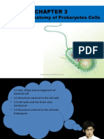 Functional Anatomy of Prokaryotes Cells: Bio461:Mic/Dna/Uitm Ns - 2017