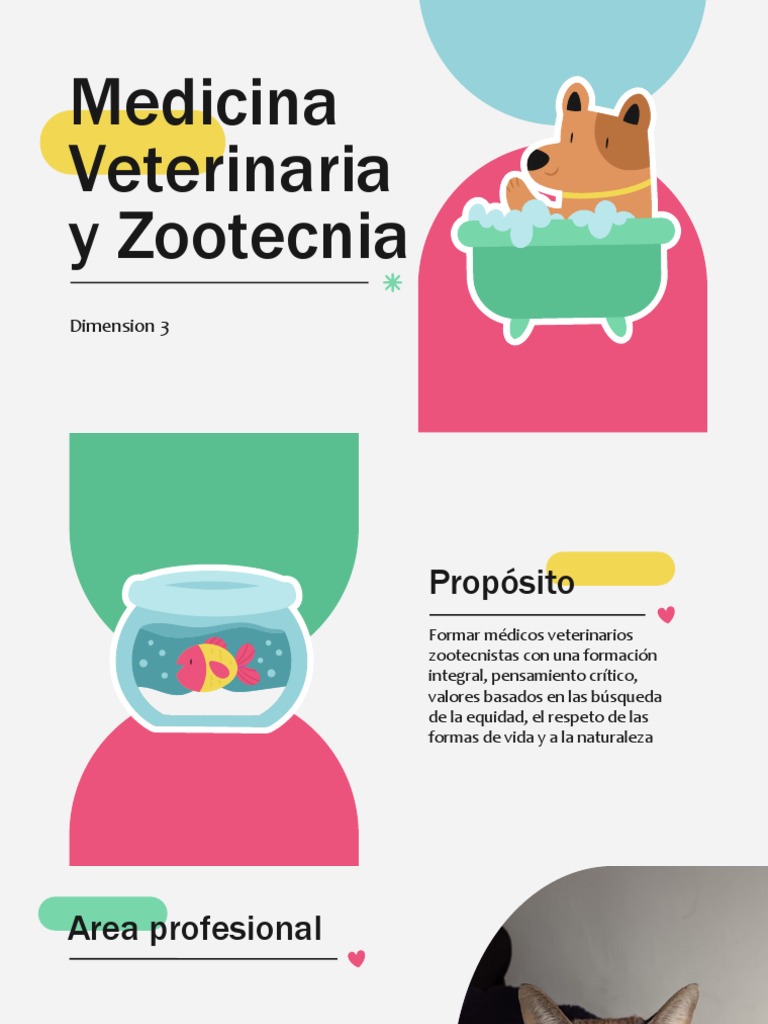 Medicina Veterinaria y Zootecnia: 5 Años | PDF | Medicina Veterinaria ...