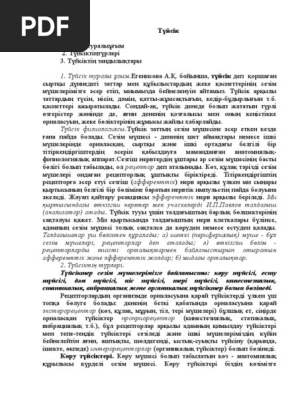 Наруто порно фильмі