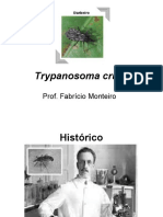 Trypanosoma Cruzi: Prof. Fabrício Monteiro