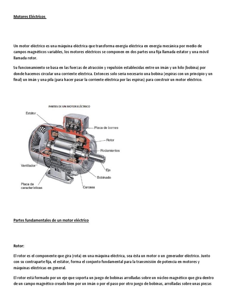 E Motores Eléctricos 0 | PDF | Motor eléctrico | Rodamiento (Mecánico)