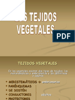 BT4.5 Tejidos Vegetales