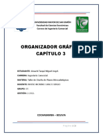 Organizador Gráfico Capítulo 3: Cochabamba - Bolivia