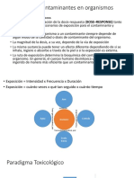 PPT5 - Impacto Contaminantes - Ingenieria Ambiental 2019