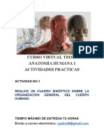 Curso Virtual Teorico Anatomía Humana I Actividades Practicas