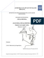 Anatomia Cefalometrica. Alejandra Sarai Aguilar Garfias