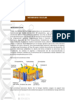 Lab 9 Membrana Celular
