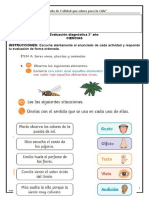 Ev. Diag 2do Año 2023 Ciencias