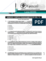 Habeas Corpus paradigmas del TC