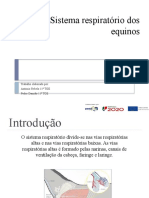 Trabalho Damião e António