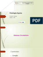 M4 - Fisiologia Equina