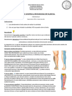 Inervación Sensitiva-Dermatoma