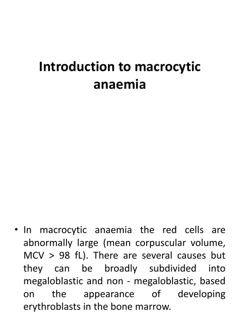 Introduction To Macrocytic PDF Anemia Vitamin B12