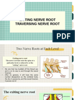 Exiting and Traversing Nerve Roots (40