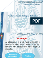 Fundamentação Biológica do Treino e Sistemas Energéticos