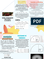 Triptico Proyecto Steam Matematica