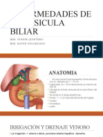 Enfermedades de La Vesicula Biliar