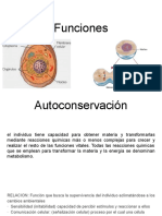 Funciones de La Célula Eucariota