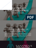 Principios Del Derecho Laboral: Juan Sebastián López Jiménez