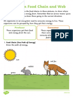 Ecosystem Food Chain and Web: Producer