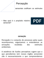 Percepção: - Os Processos Sensoriais Codificam Os Estímulos Externos