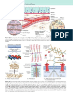 41 - PDFsam - Robbins & Cotran Pathologic Basis of Disease, 9e