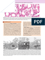 61 - PDFsam - Robbins & Cotran Pathologic Basis of Disease, 9e